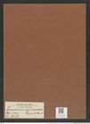 Triceratium oamaruense Grove et Sturt. (de-Toni-Nr.: Genus 140, Species 3757) Zeichnungen Sammlung Grunow Mappe 03857 (Herbarium_W_Grunow_drawings_Folder_03857)